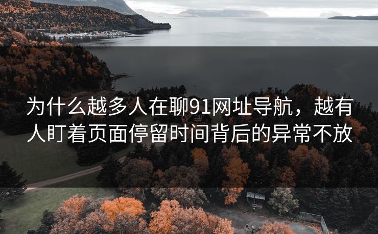 为什么越多人在聊91网址导航,越有人盯着页面停留时间背后的异常不放 为什么越多人在聊91网址导航,越有人盯着页面停留时间背后的异常不放